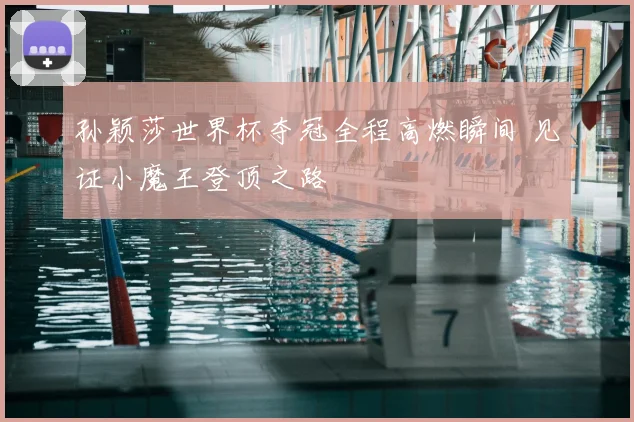 孙颖莎世界杯夺冠全程高燃瞬间 见证小魔王登顶之路