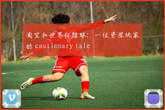 淘宝和世界杯赌球：一位资深玩家的 cautionary tale