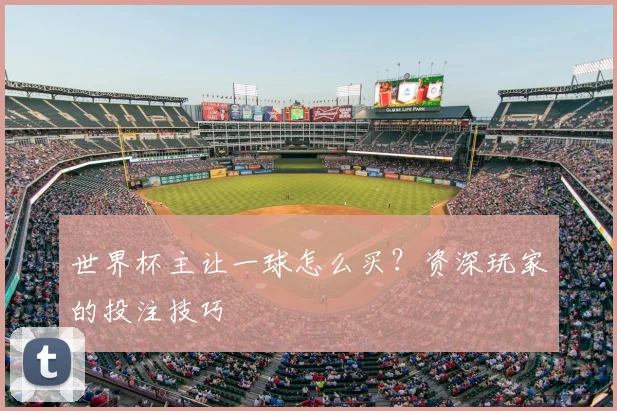 世界杯主让一球怎么买？资深玩家的投注技巧